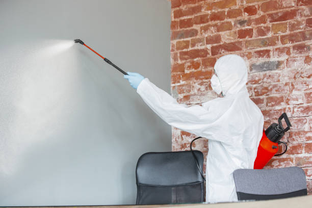  Prairie Ridge, WA Mold Removal Pros